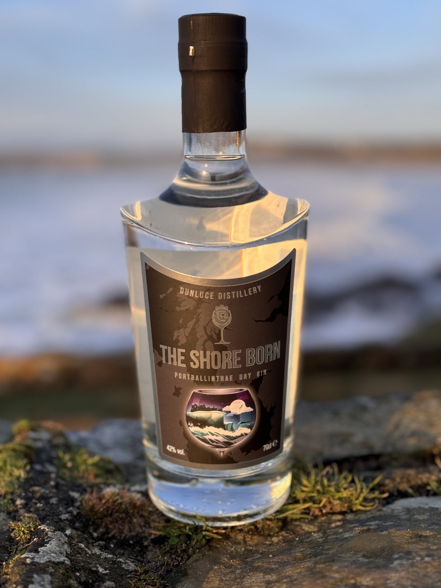 The Shore Born